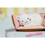 Pandora the Persian Cat Lottie doll accessory set detail